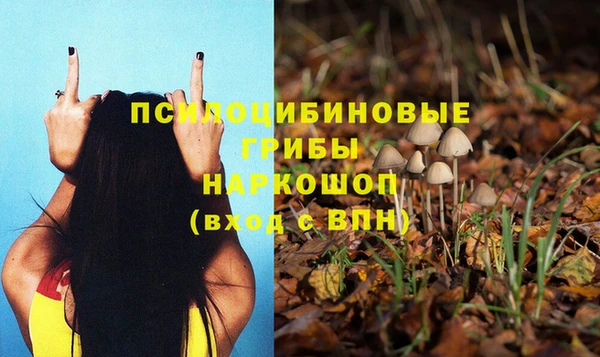 mdma Няндома