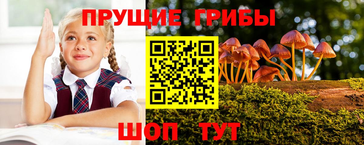 Псилоцибиновые грибы прущие грибы Ирбит