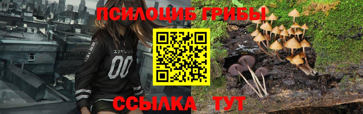 Псилоцибиновые грибы мухоморы  Вход с VPN  Ирбит 